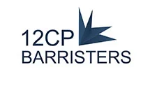 12cp - PROFESSIONAL SERVICES