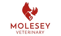 moleseyvets logo - VETERINARY CARE